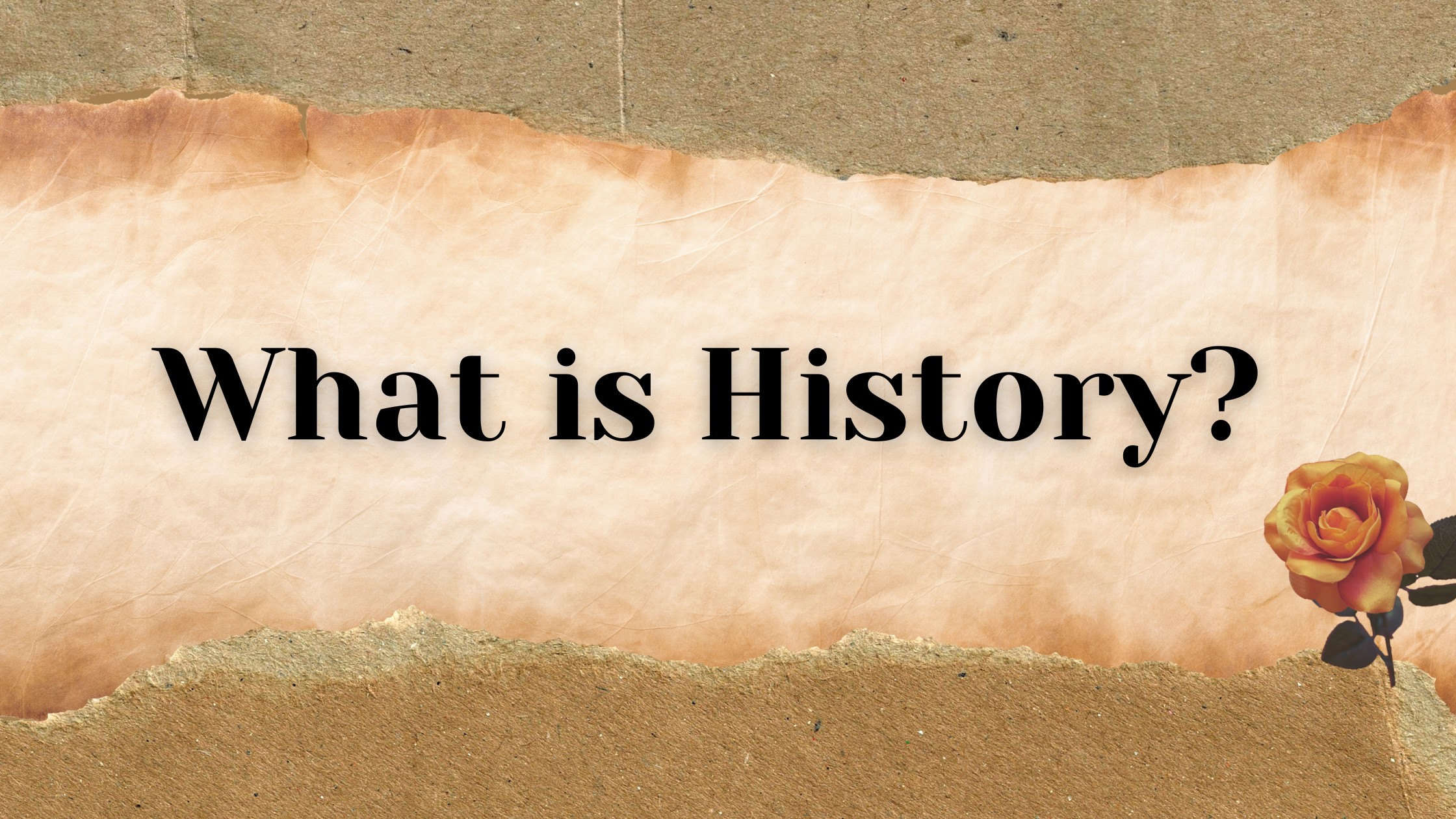 Read more about the article WHAT IS HISTORY?